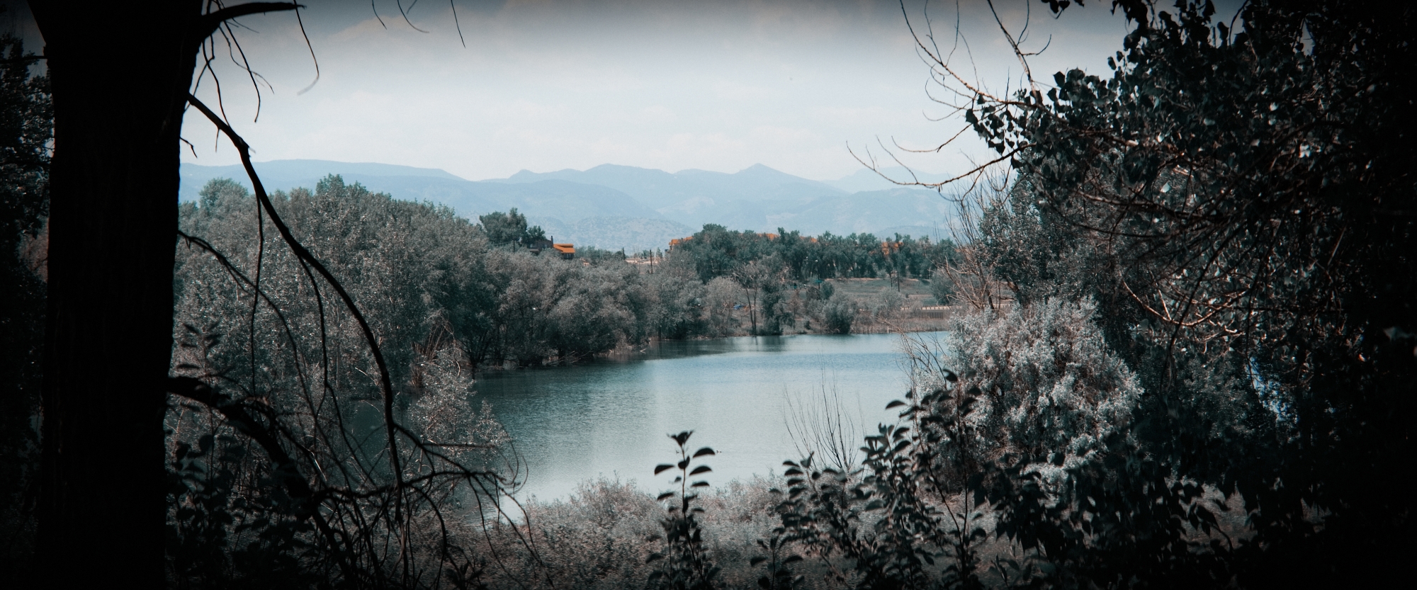 Anamorphic-Walkabout-13 (1)