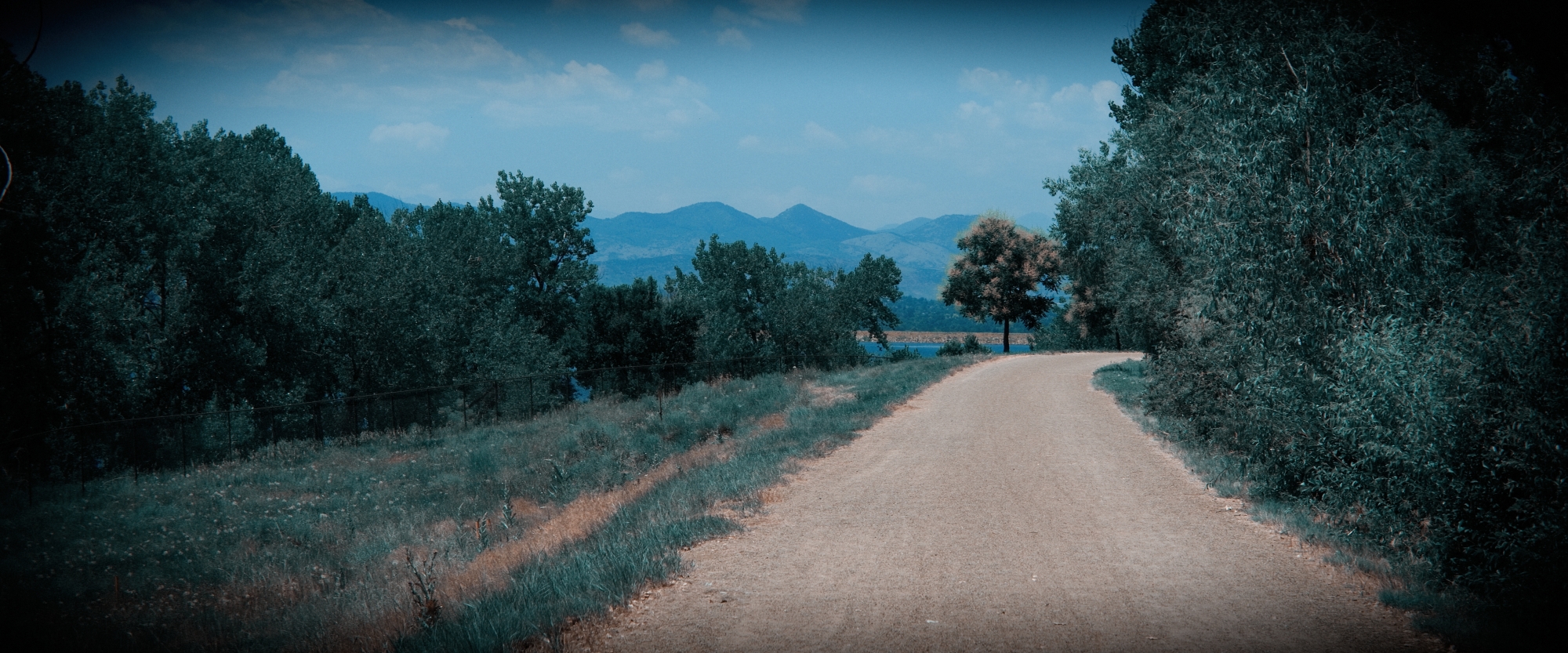 Anamorphic-Walkabout-4 (1)