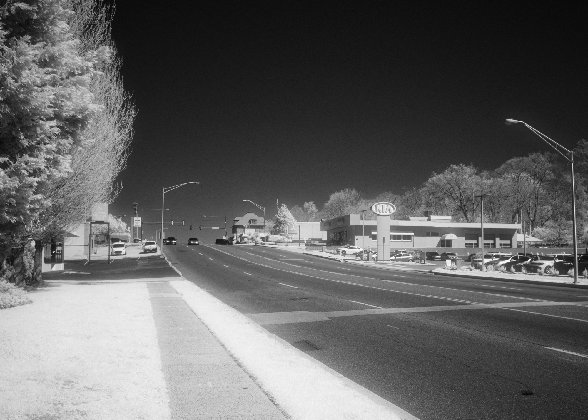 BW-Infrared-1 (1)
