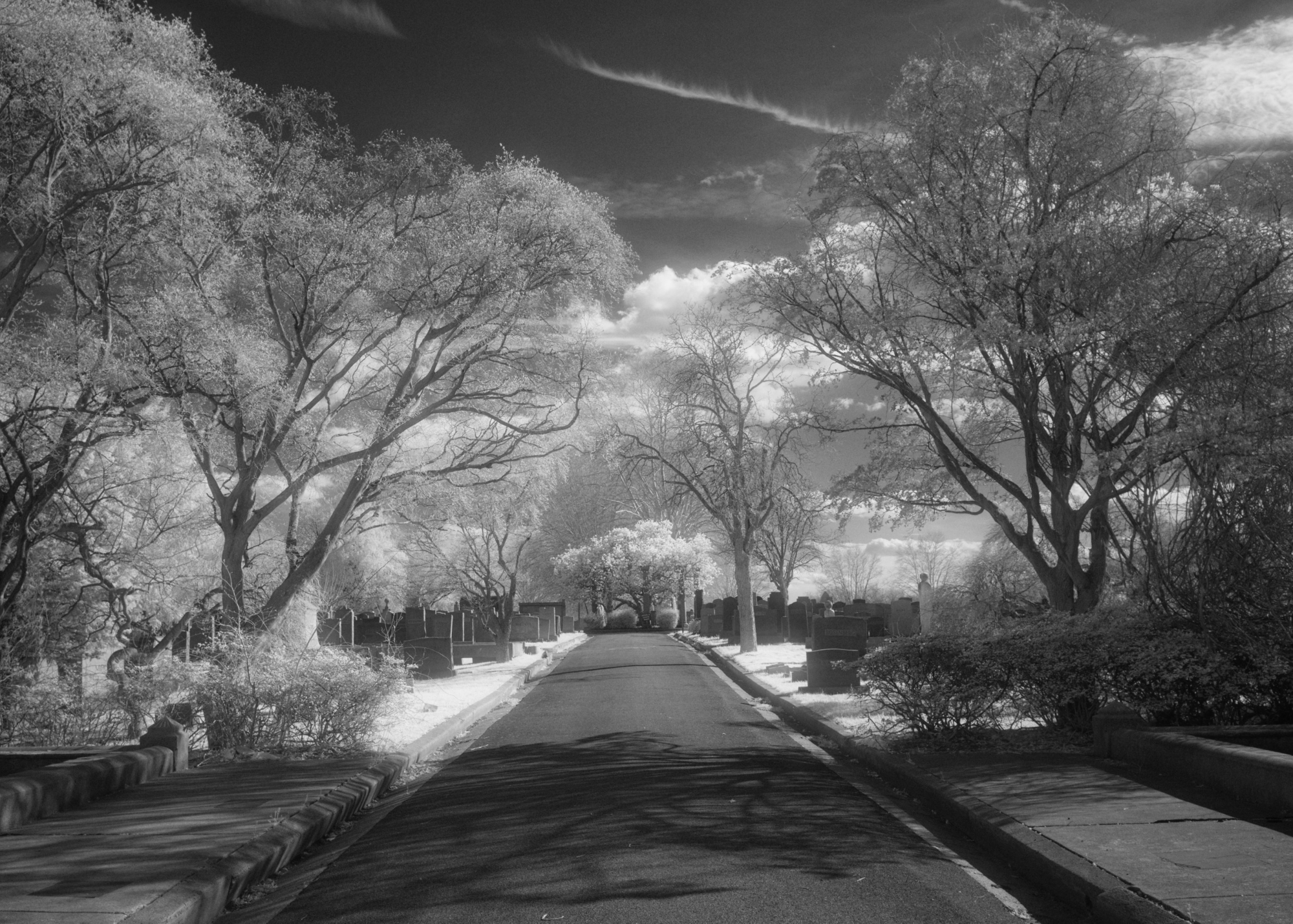 BW-Infrared-2-1