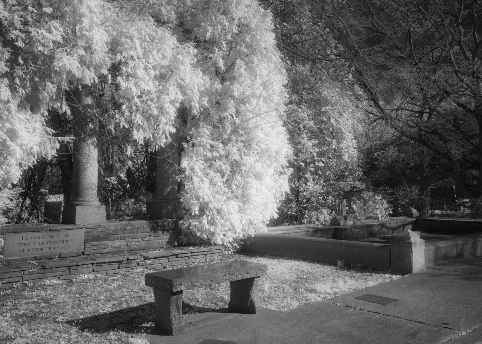 BW-Infrared-3-1
