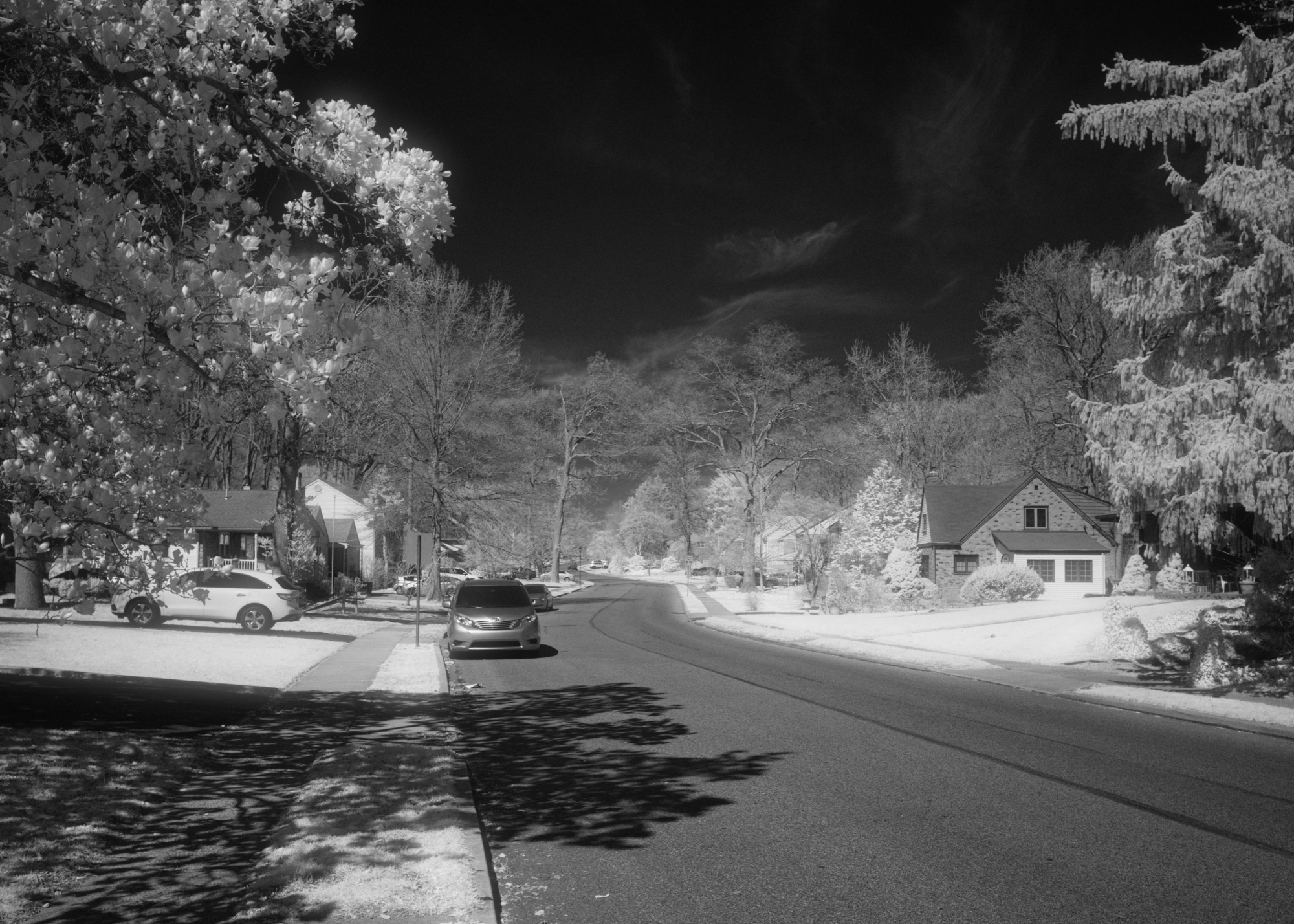 BW-Infrared-4