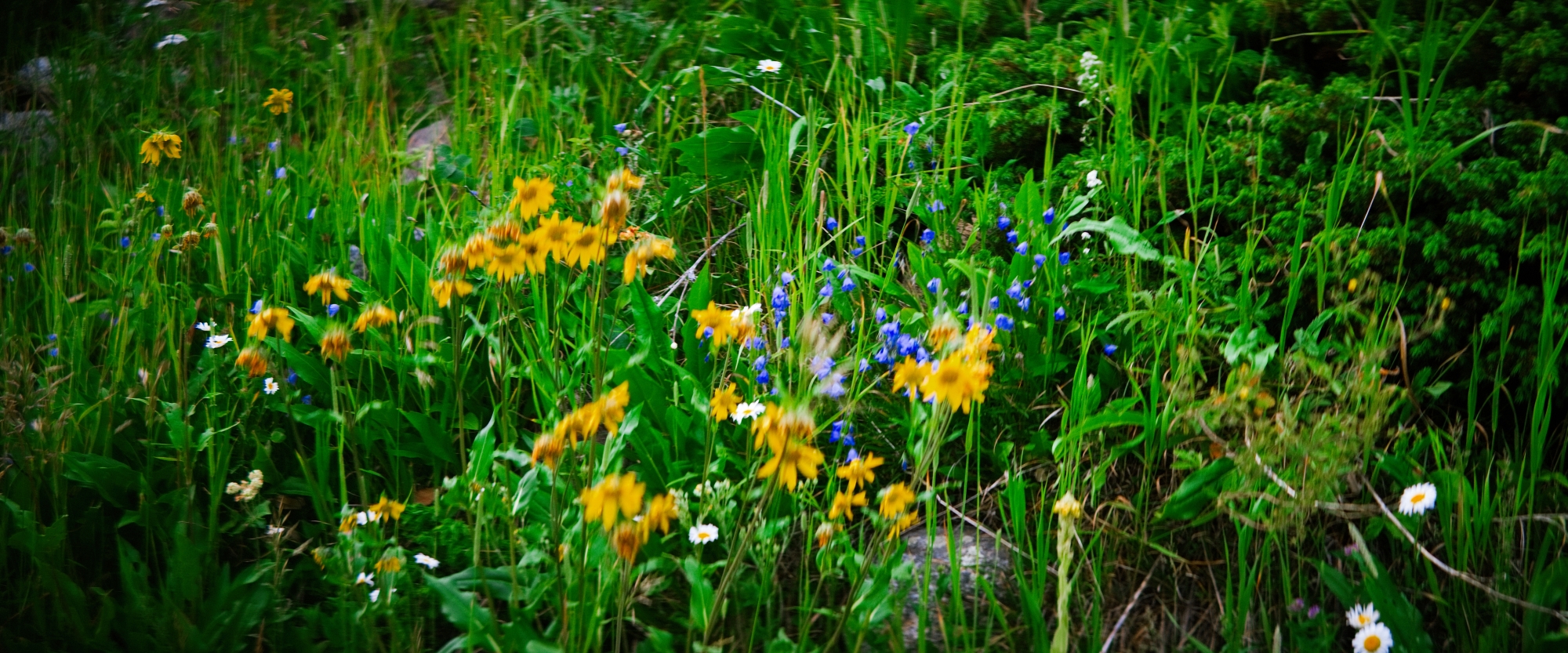 Central-City-Nederland-19 (1)