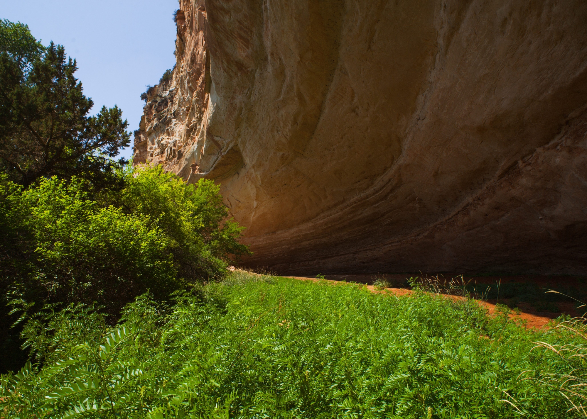 Cross-Country-Trip-19