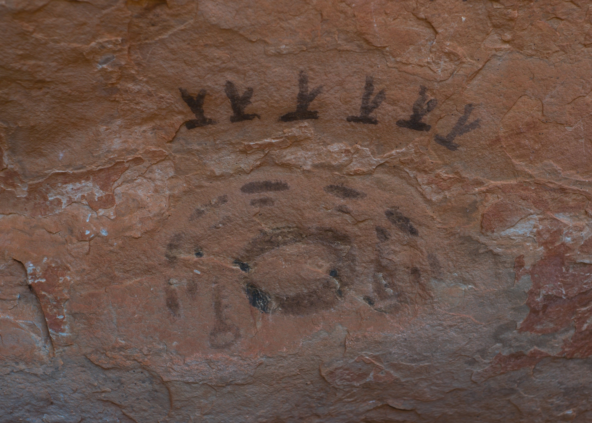 Cross-Country-Trip-23