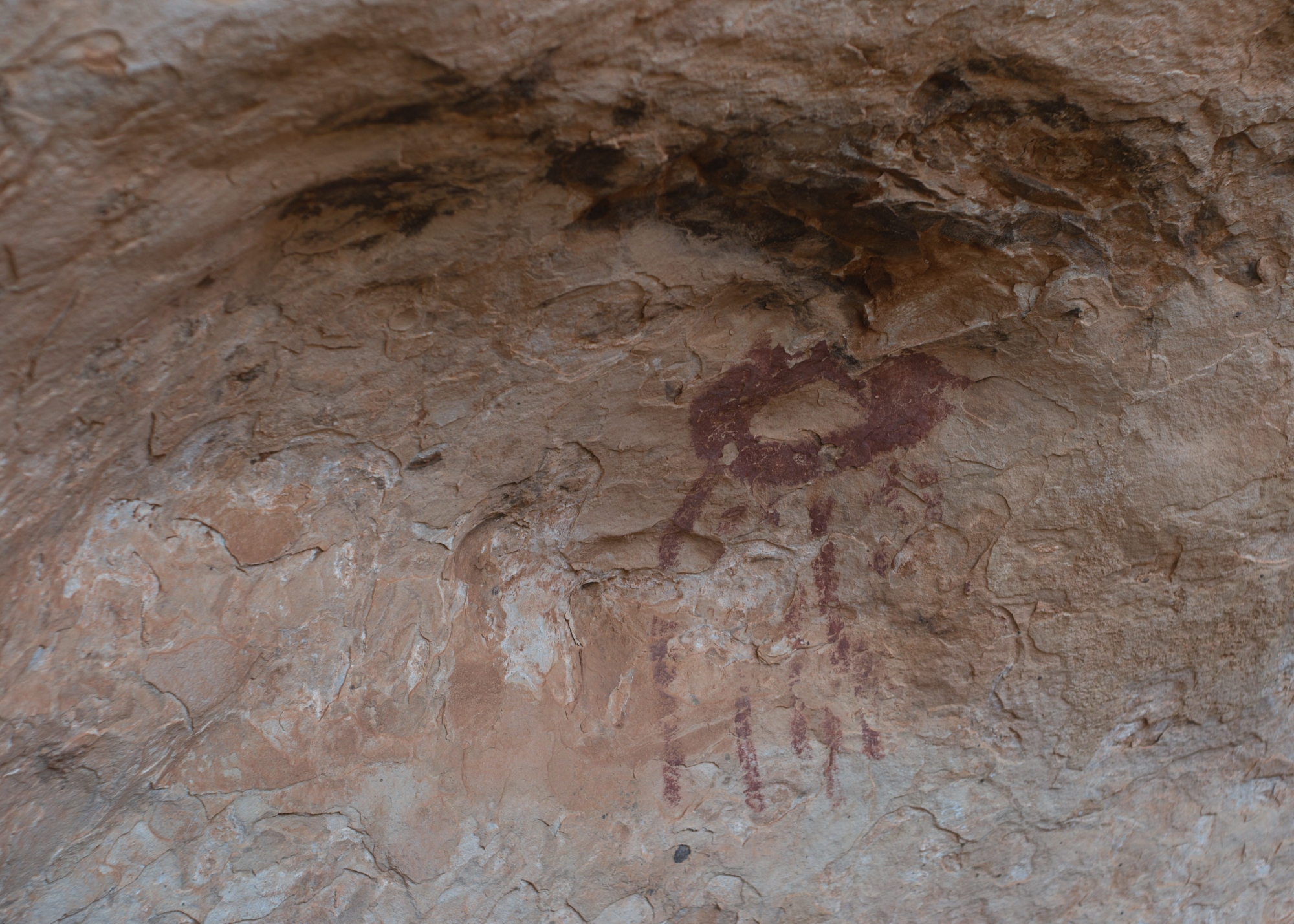 Cross-Country-Trip-24