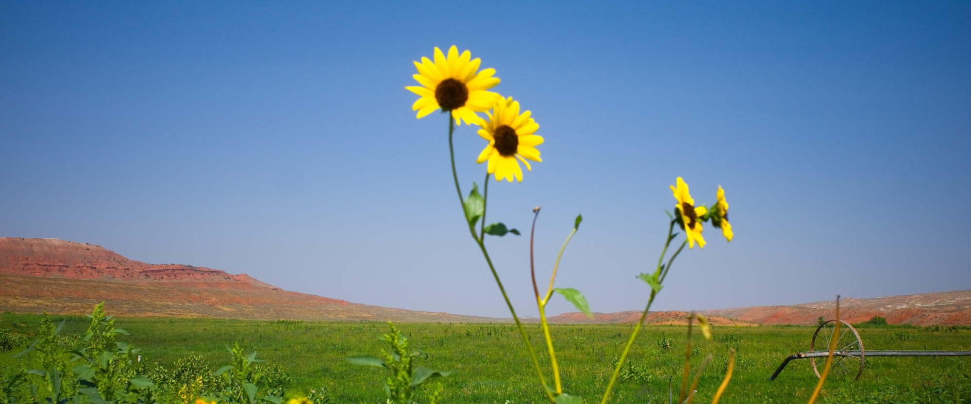 Cross-Country-Trip-55