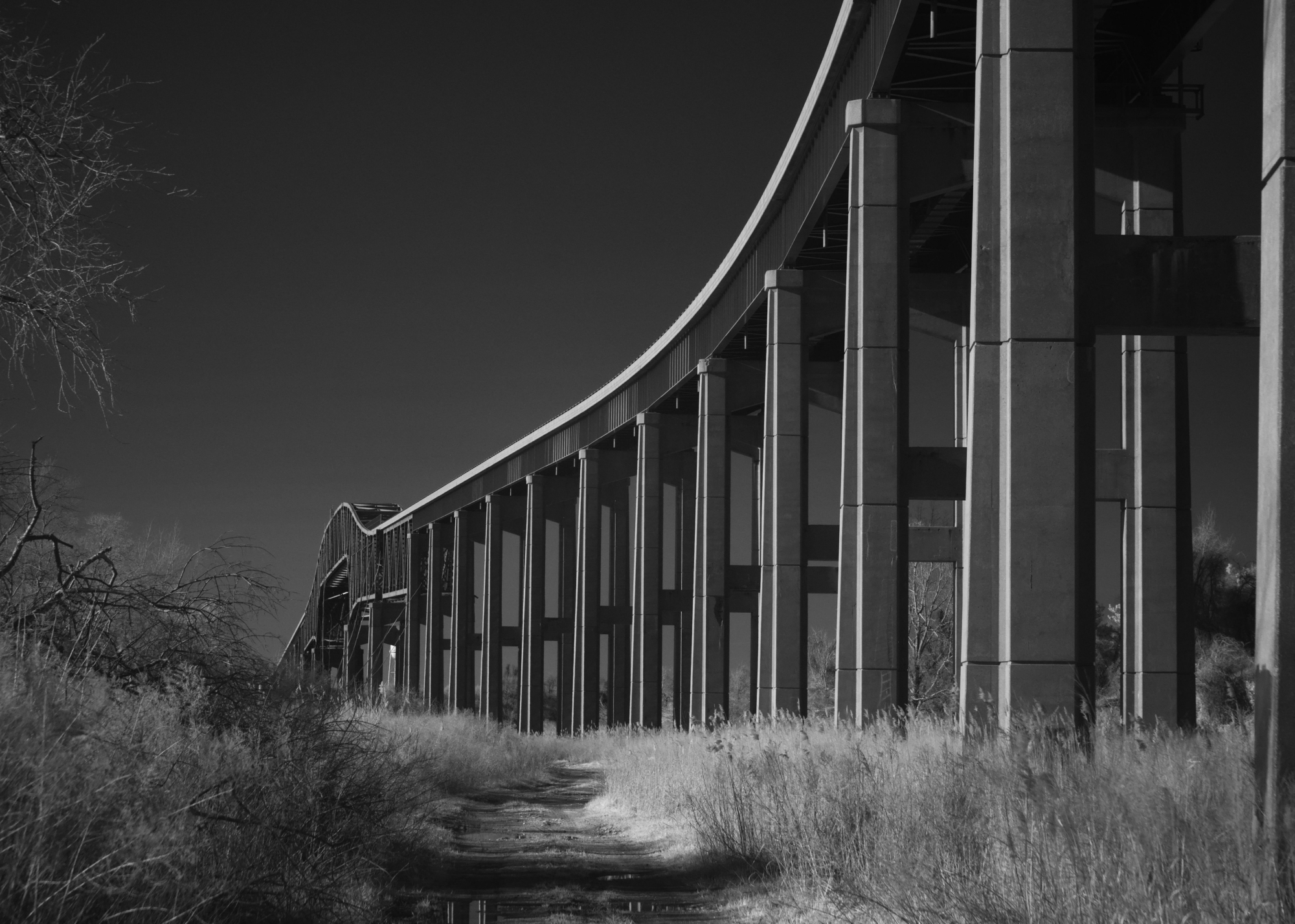 Reedy-Point-Bridge-5