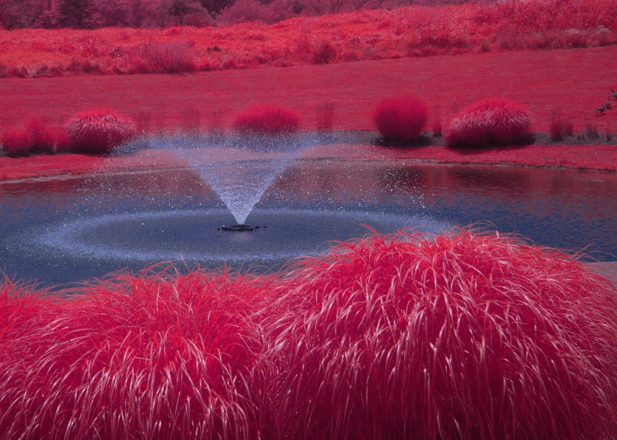 Shennandoah-Cass-RR-15 (1)