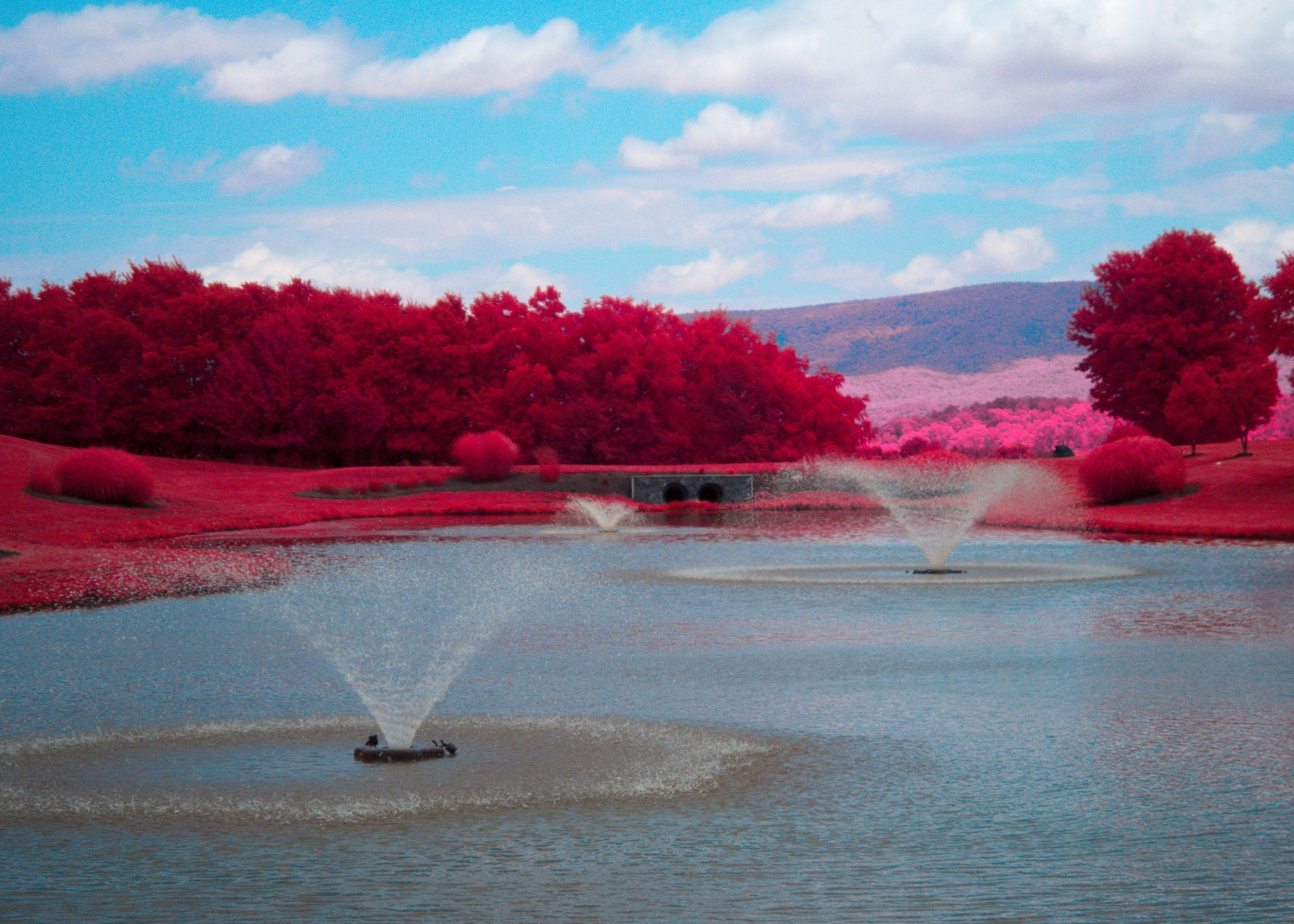 Shennandoah-Cass-RR-16 (1)